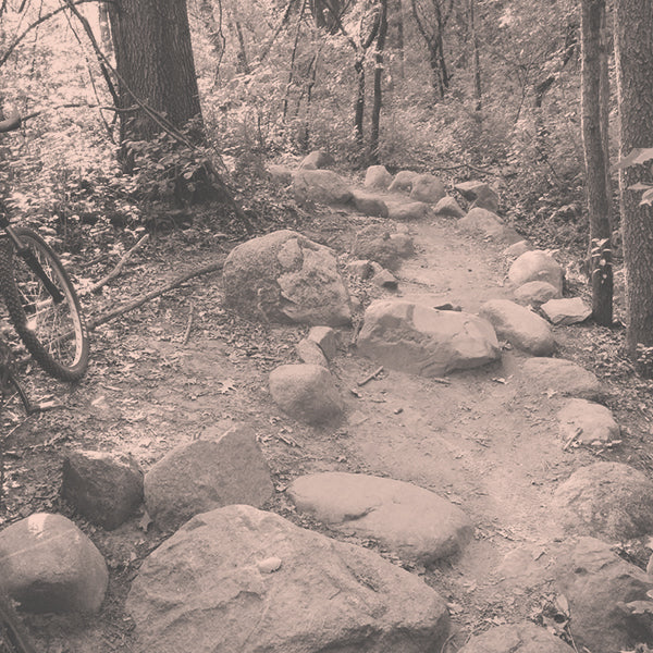 Step Ups & Climbing Level 1 2hr Group Lesson RideOttawa