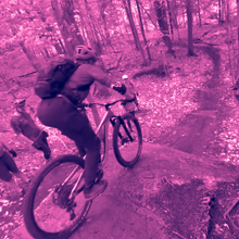 Roll Downs & Descending - Level 1 - 2hr - Group Lesson