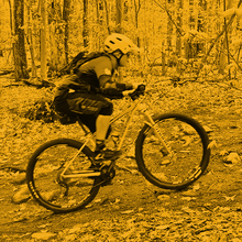 3-Pack x 2 hours - Level 1 - Weekend - Bi-Weekly