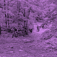 Ride Better Level 2 - 2hr - Women's Only Group Lesson